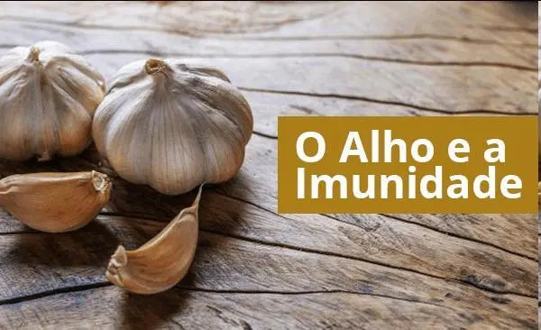 Cabeças e dentes de alho sobre madeira destacam benefícios para a imunidade.