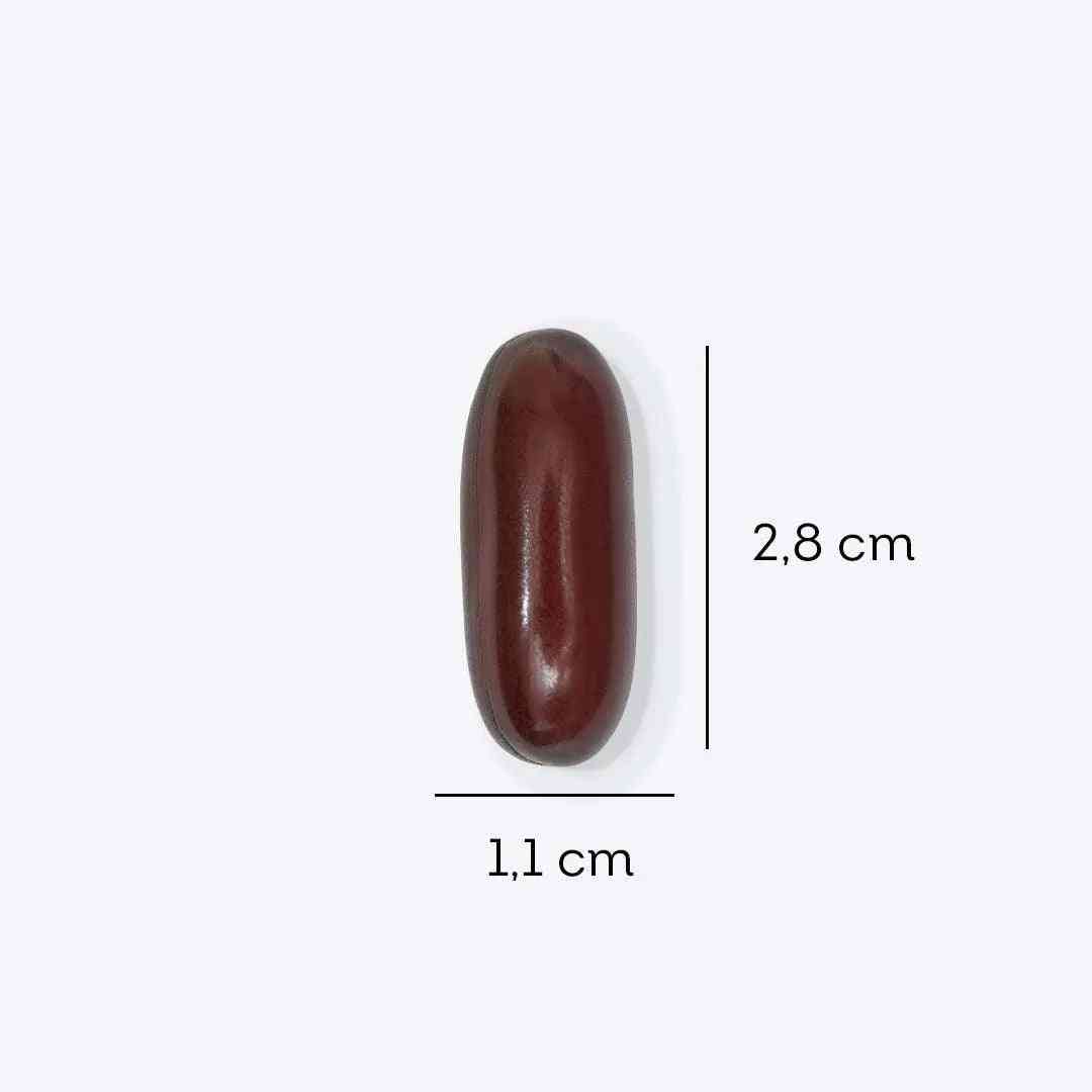 a close up of a chocolate candy on a white background