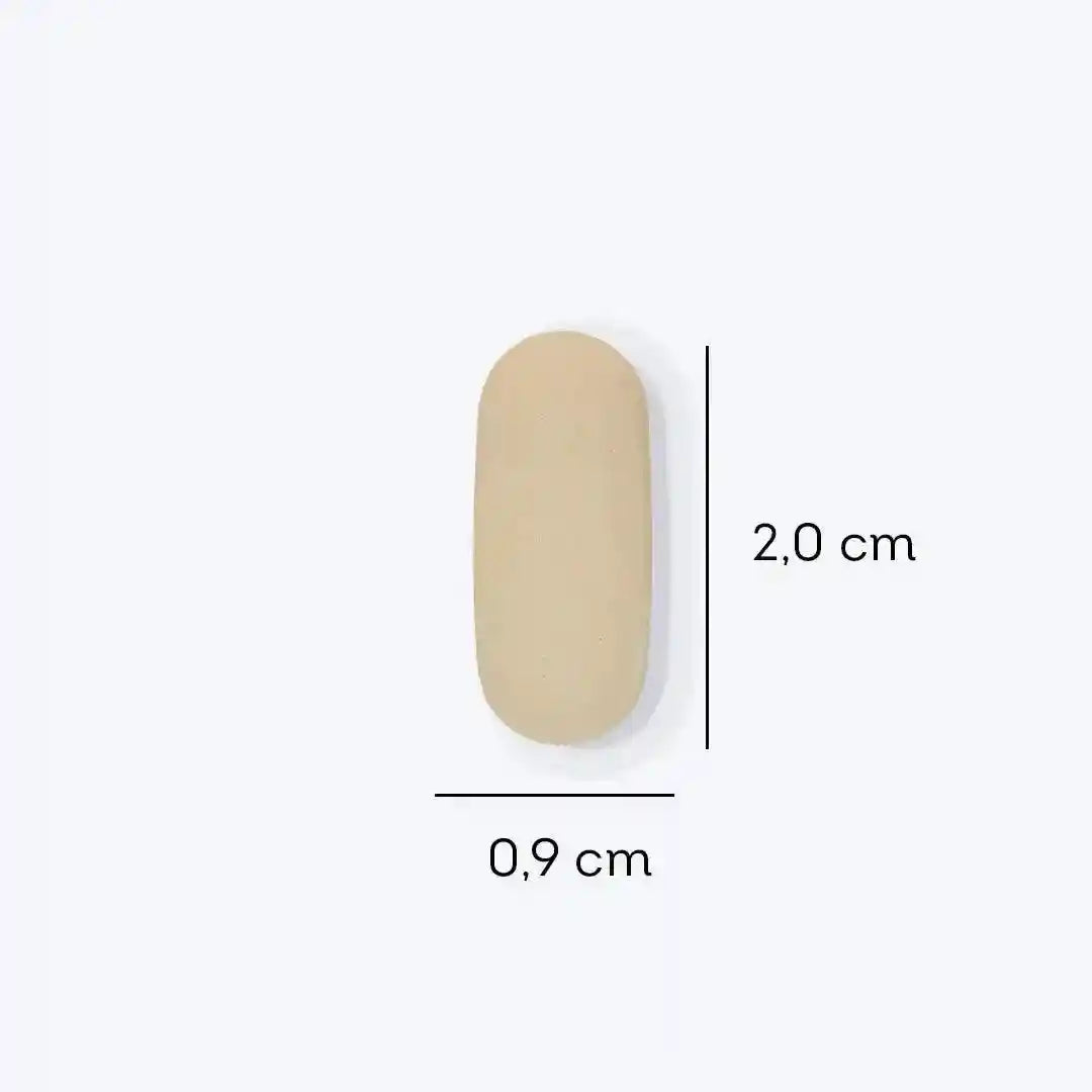 the measurements of a nail with a white background