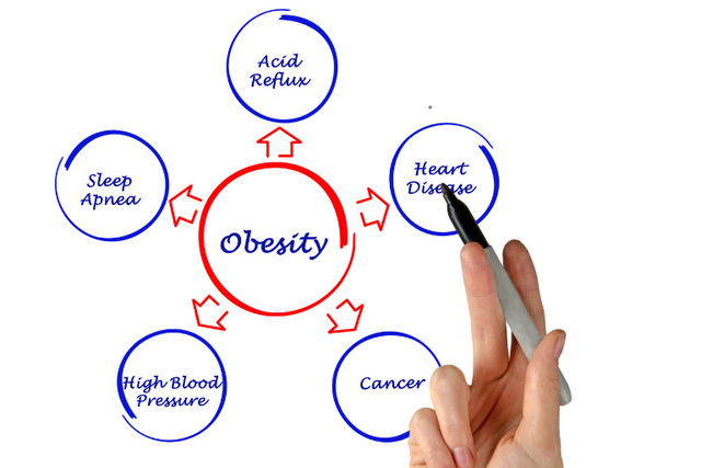 A relação da inflamação com a obesidade, diabetes e o metabolismo