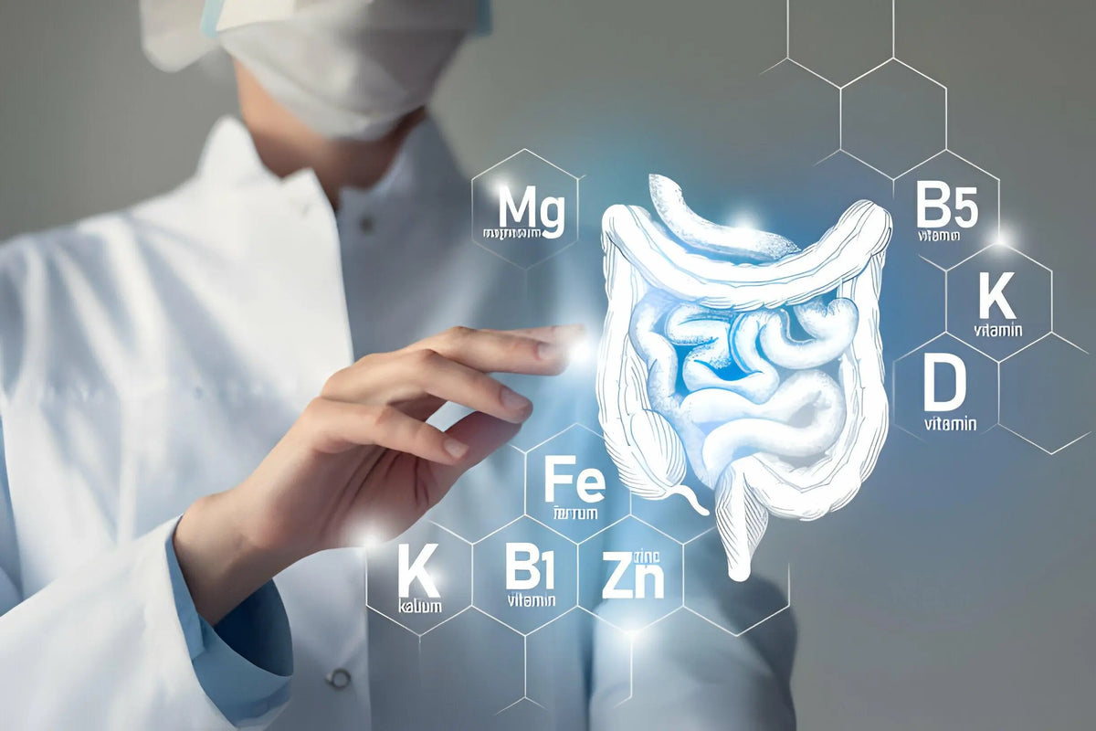 Texto alternativo:Médico apontando para ilustração do sistema digestivo com ícones de vitaminas e minerais como B1, B5, K, D, Mg, Fe e Zn.