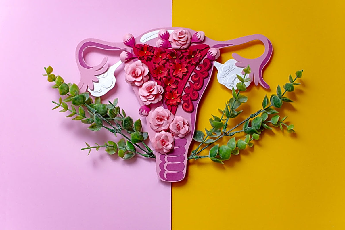 Alimentação e bem-estar no ciclo hormonal feminino