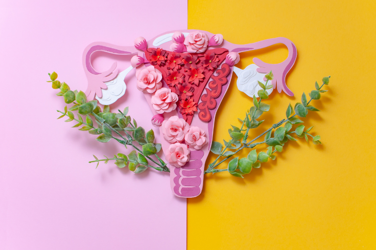 Nutrição e endometriose: como a alimentação pode ajudar