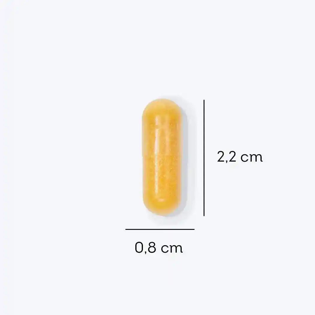 a close up of a pill pill on a white background