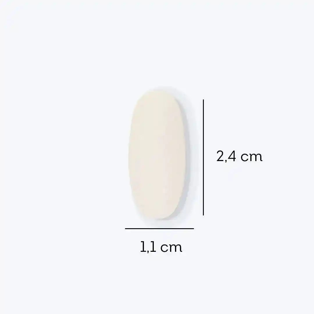 a white oval shaped object on a white background