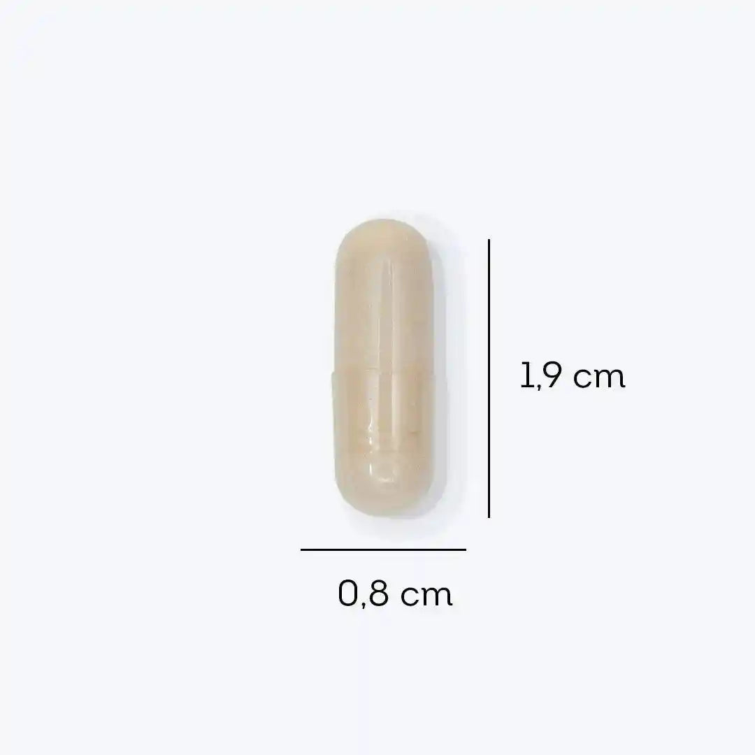 a close up of a pill on a white background