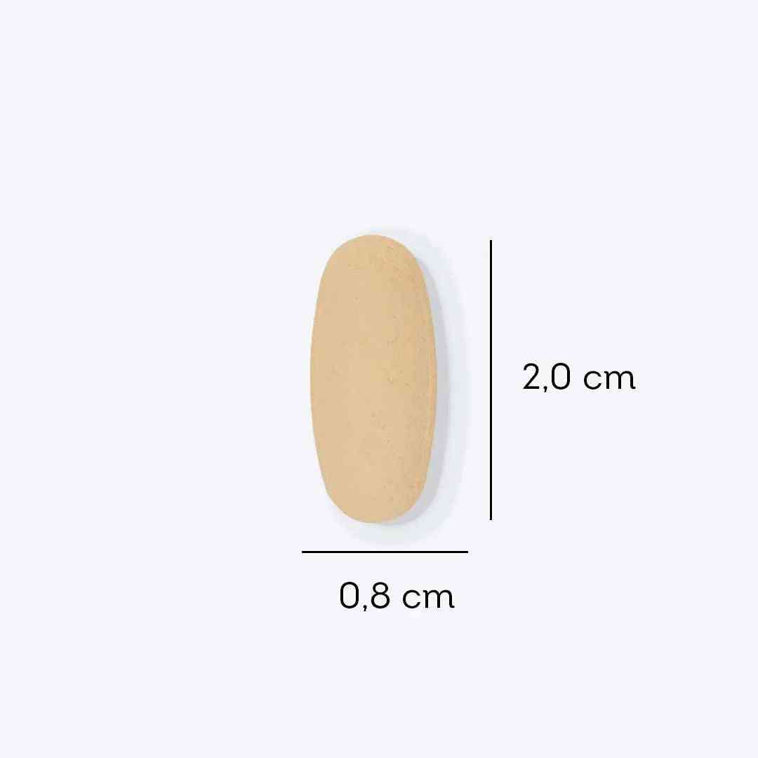 the measurements of the oval shape of a wooden object
