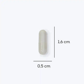 FDC Zinco Quelado - 90 cápsulas — verso