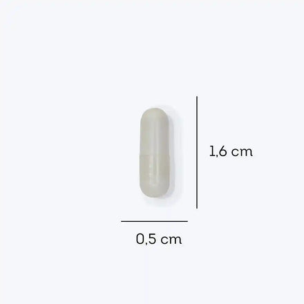 FDC Zinco Quelado - 90 cápsulas — verso