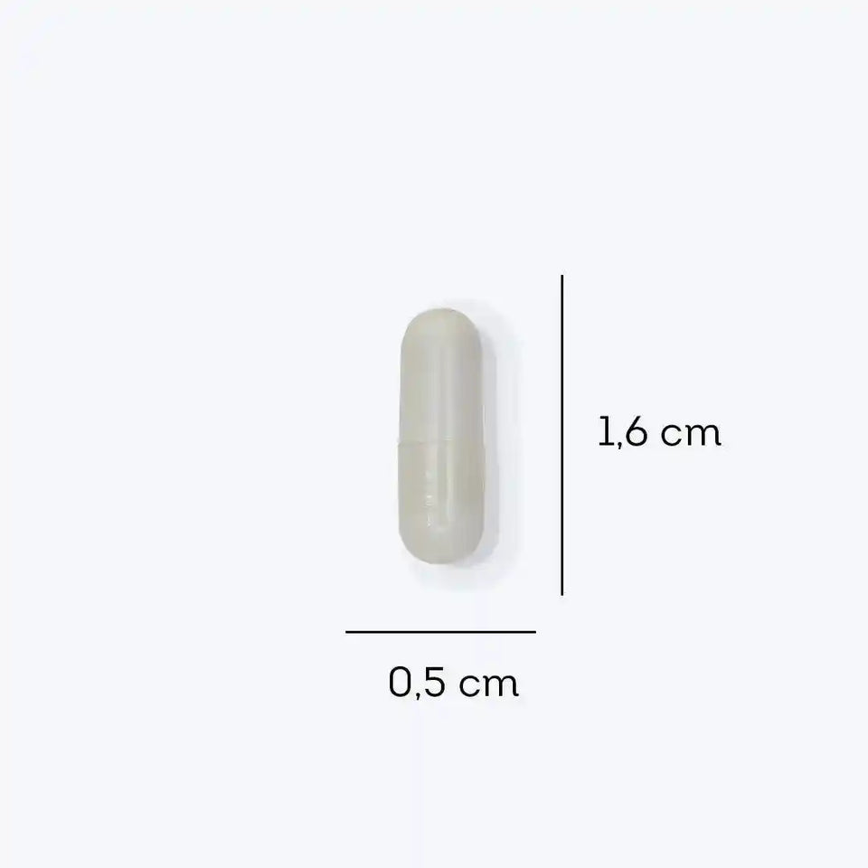Imagem do produto FDC Zinco Quelado - 90 cápsulas da FDC Vitaminas.